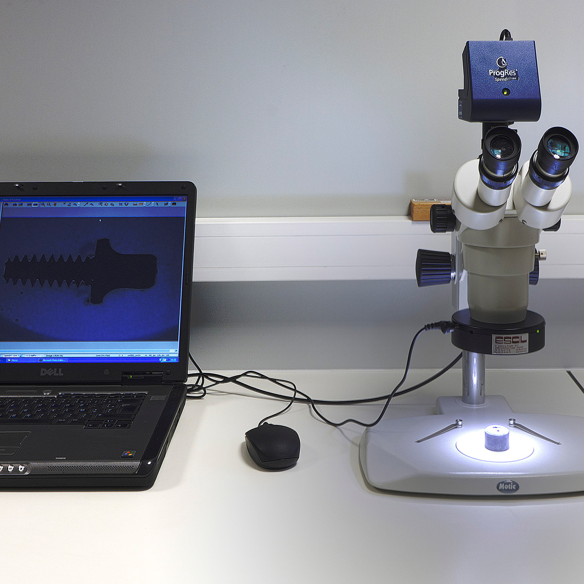 Stéréo Microscope, Plan de travail