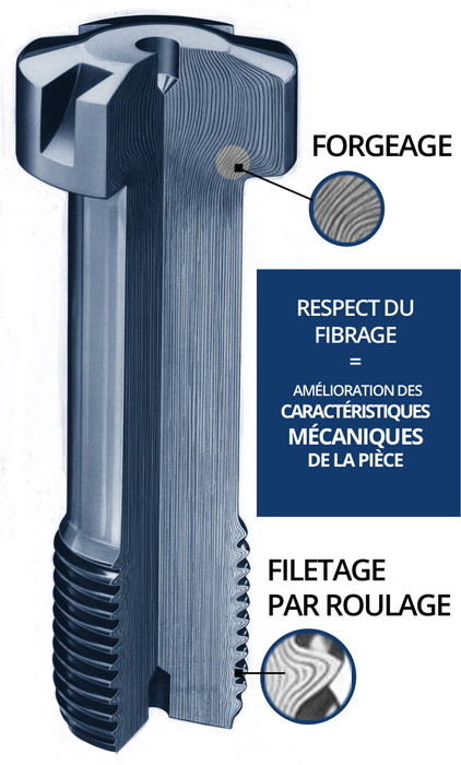 Grâce aux procédés de forgeage et de roulage, nous respectons la fibre de la pièce mécanique. Ces caractéristiques mécaniques sont améliorées